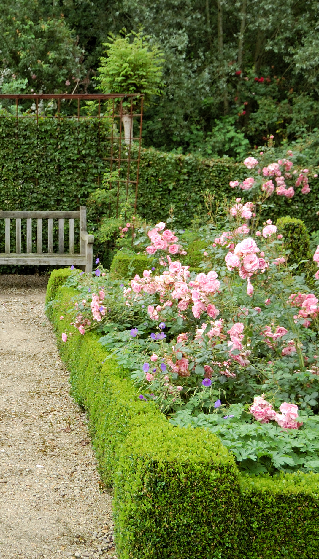 Beautiful garden with flowering plants and boxwood hedges